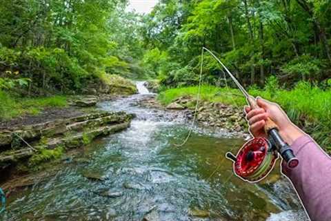 My BEST few hours of Summer Fly Fishing!! (Streamer Fishing for Trout)