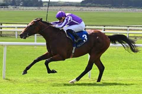 Aidan O'Brien's exciting youngsters create big impression at the Curragh 👀