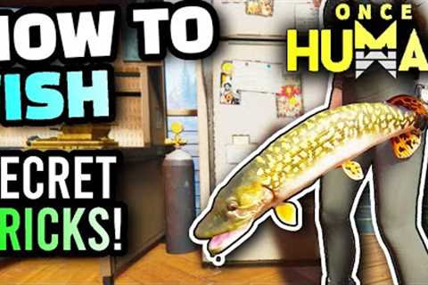 Once Human - Fishing Guide, How To Fish, Best Way To Catch Fish, Fishing Mechanics Explained