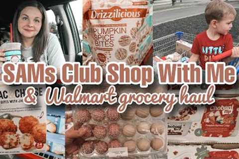 Walmart Grocery Haul + SAMs Club Shop With Me | New Grocery Finds August 2024 | Budget Friendly