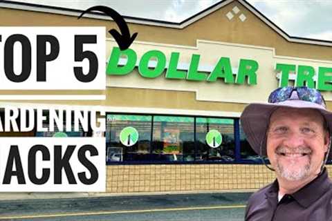 Top 5 Dollar Tree Gardening hacks for 2024