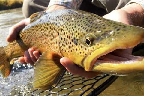 FLY FISHING SLANG AND TERMINOLOGY EP 1