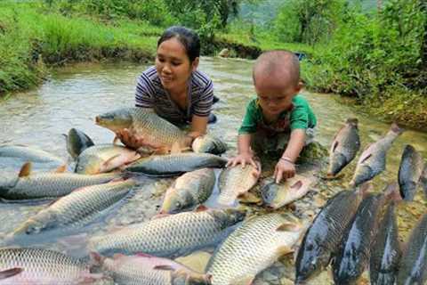 3 days of heavy rain - meeting giant fish - catching fish and trapping fish with my son