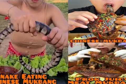 Asmr Chinese Fast Food Mukbang Today Eating Snake Tortoise Etc #ep1