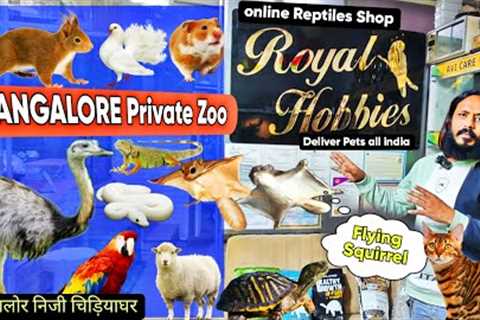 Royal Hobbies Petshop ,Squirrel, Cat, Ostrich, Iguanas, Python,Hamsters, Rabbits,Birds,Turtles (New)