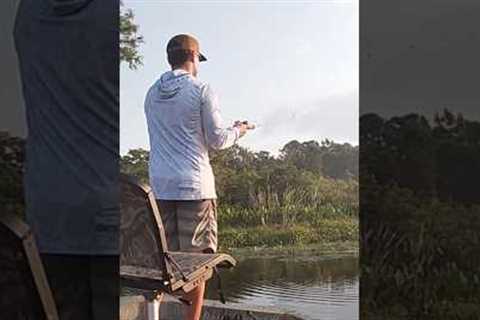 When Gators Attack- Florida Bass Fishing Problems! 😂 #shorts #bassfishing #fishing #gator #attack