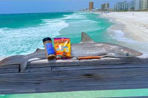 SHARK Catch n' Cook on a Florida Pier!