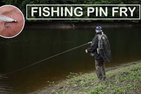 251. Pin Fry Flies for Trout + Finding a💍WOW!! - Fly Fishing UK