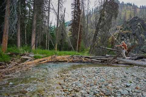 Couldn’t Stop Catching 20+ Inch Bull Trout | Backpacking Fly Fishing