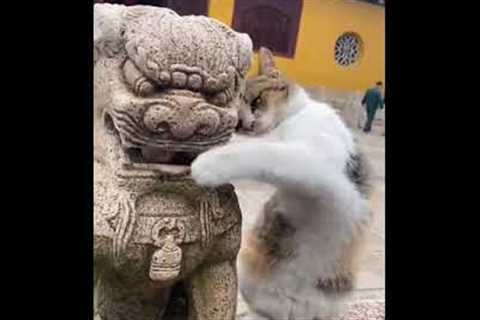 This hilarious compilation of cats doing funny things will brighten up your day.