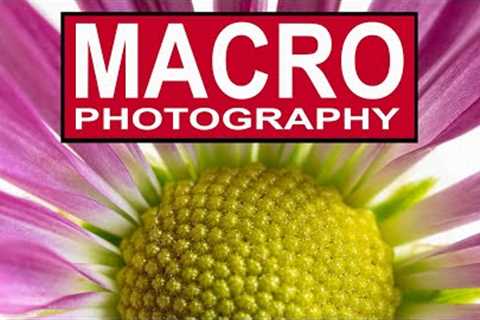 MACRO PHOTOGRAPHY FOR BEGINNERS ON A BUDGET - How to take amazing close up macro photos.