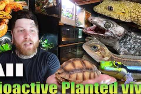 Reptile Room Tour, But It's All Bioactive Enclosures | Over 100 Reptiles