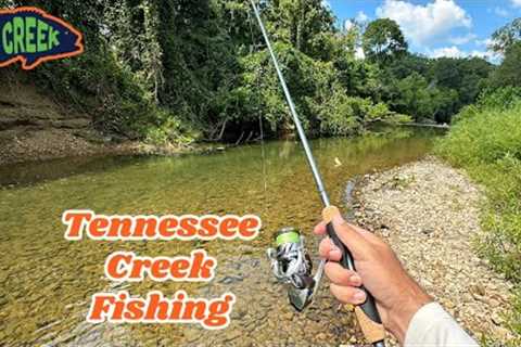 Creek Fishing for Smallmouth Bass...