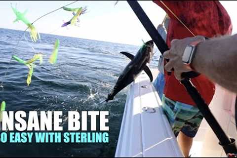 YELLOWFIN TUNA THE EASY WAY (STERLING TACKLE)