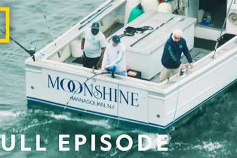 Back on the Hunt (Full Episode) | Wicked Tuna