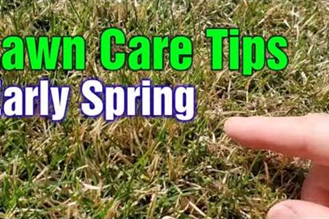 Early Spring Lawn Tips: What To Do 1st, 2nd, &amp; 3rd