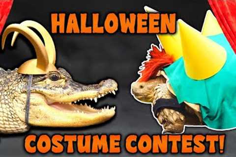 Our Reptiles Dress up for Halloween!