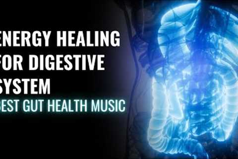 Improve Your Digestive Health | Energy Healing for Digestive System | Best Gut Health Music | 528 Hz