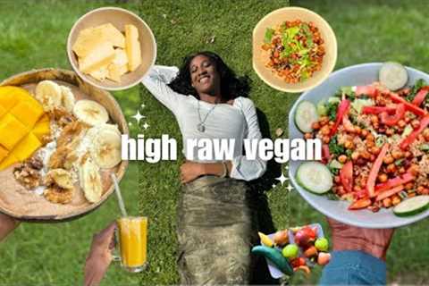 🌱HIGH RAW🍓what i eat in a day vegan | new cookbook??? creamy chia pudding, quinoa kale salad,