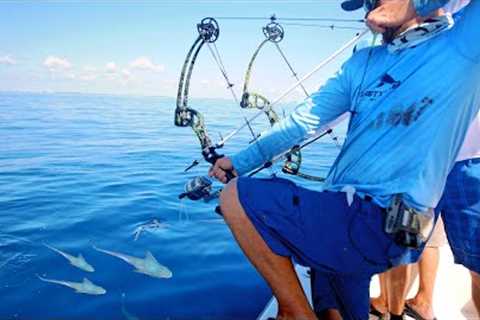 Bow Fishing for Tuna Fish