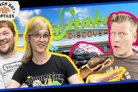 Snake Discovery: What You DON'T Get To See!