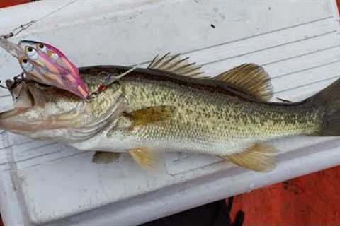 2024 Bass Fishing using a school of fish crank bait in Lumot Lake, Cavinti Laguna.  #bassfishing