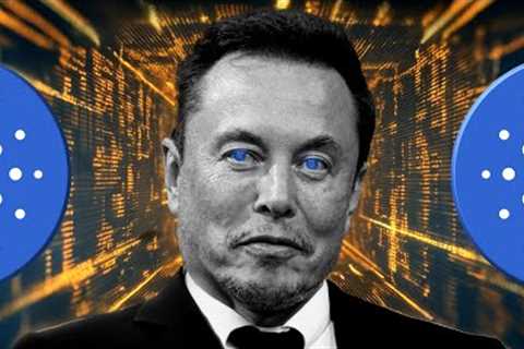 Elon Musk RUMOR Debunked? Cardano ADA Wallet FEATURED On BRAVE! Angry Crypto Reacts