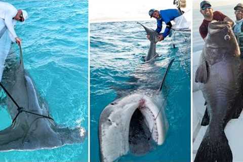 Greatest Fishing Videos of All Time