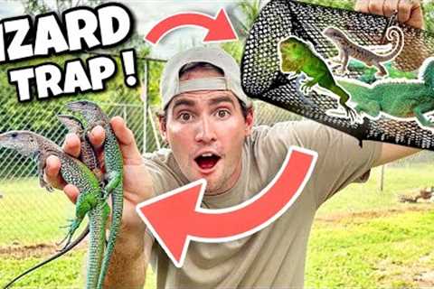 DIY LIZARD TRAP CATCHES RARE COLORFUL LIZARDS ! INSANE !!