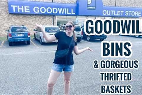 SHOPPING THE GOODWILL BINS &amp; GOODWILL STORE | Small Thrift Haul