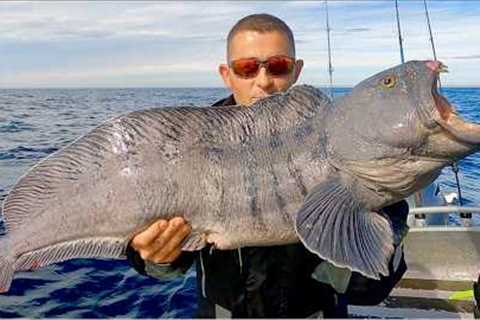 Deep Sea Fishing in the Arctic Circle - Huge Cod, Coalfish, Wolffish and Halibut | The Fish Locker