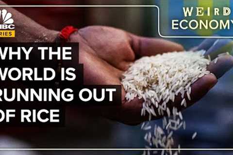 Why Rice Markets Are In Crisis Mode
