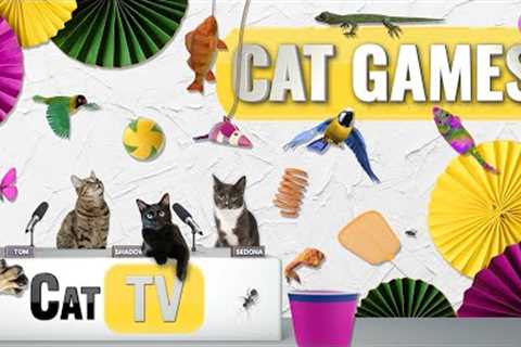 CAT Games | Ultimate Cat TV Compilation Vol 67 | 2 HOURS 🐝🐞🦋🦎🦜🐜🐭🧵