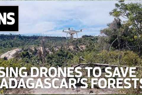 How drone technology is protecting Madagascar's vulnerable forests