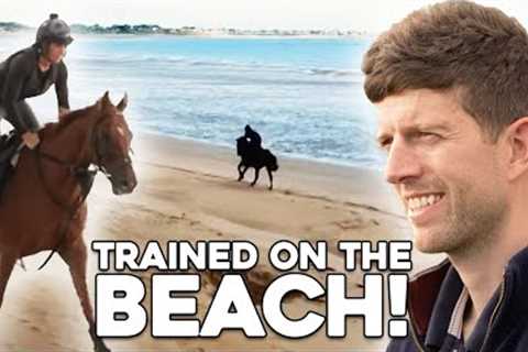 The bargain buy Ebor contender who is trained on the beach!