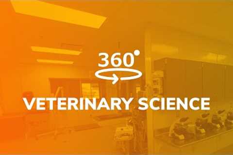 West-MEC Career Training Programs | Veterinary Science at Southwest Campus