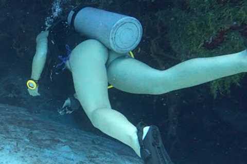 Breathtaking Dive in Cozumel | Palancar Bricks &amp; Surrounding Reefs | July 29th, 2024 4K
