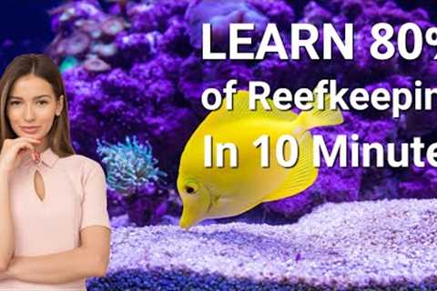 Saltwater Aquarium Basics In 10 Minutes
