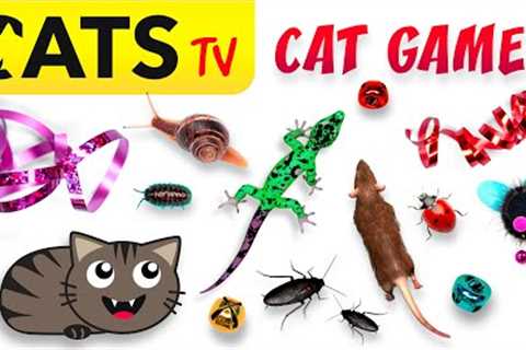 CAT GAMES 📺🪳 Ultimate CATS TV Compilation 20 in 1 🐭🙀🦎 4K 60 FPS [5 HOURS]