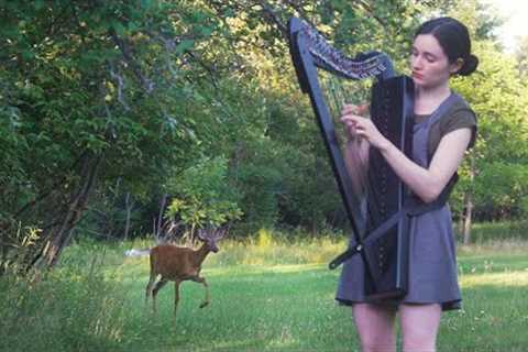 A deer turned my harp session into a Disney movie