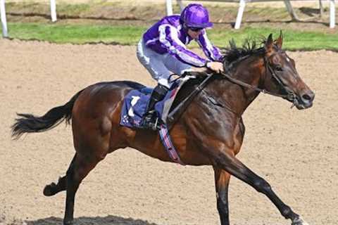$1.8 million purchase BERNARD SHAW stamps class at Dundalk