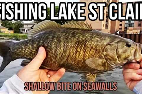 Lake St Clair Bass Summer Bass Fishing