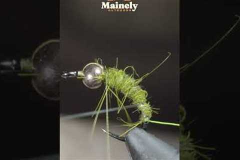 The HOLY Grail of Flies!!