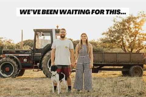 Building a life off-grid. A big week renovating our abandoned land + GIVEAWAY