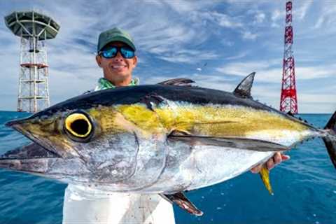 MILITARY Towers Loaded with Fish! Catch Clean Cook- Tuna