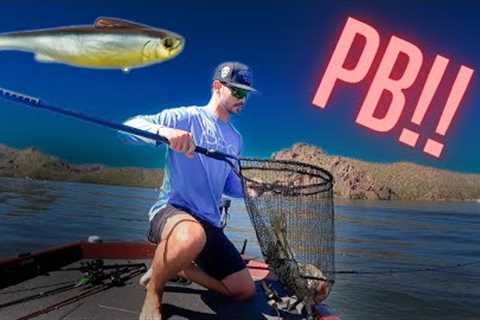 Giant Fish out of Desert Lake!! (NEW PB)