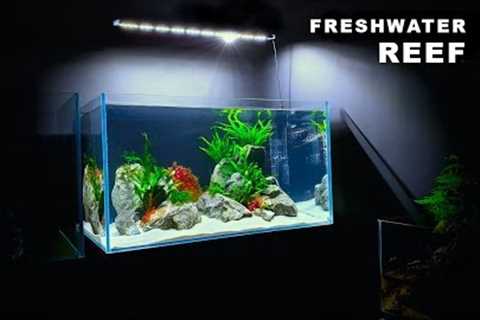 MAKING A *FRESHWATER REEF* AQUARIUM || STEP BY STEP || MD FISH TANKS
