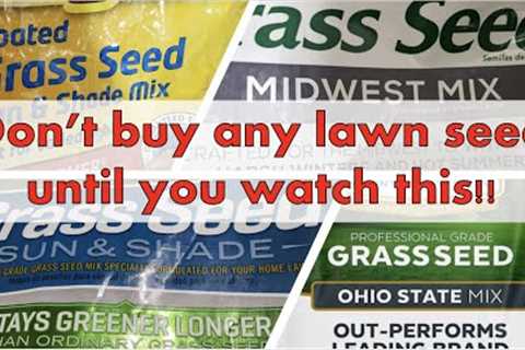 What to look for when buying grass seed