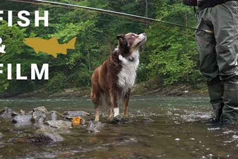 Fish and Film: One Morning for Versatility - Nymphs, Dry Flies, Streamers, Cold Water &amp; Wild..