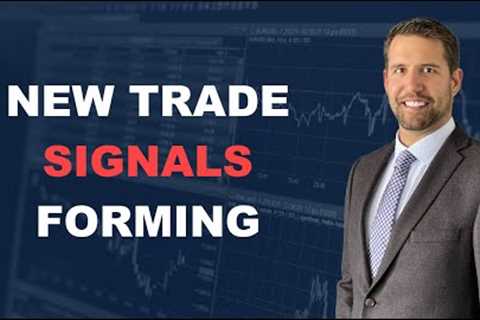 Gold, Stock Market and Bond Triggers